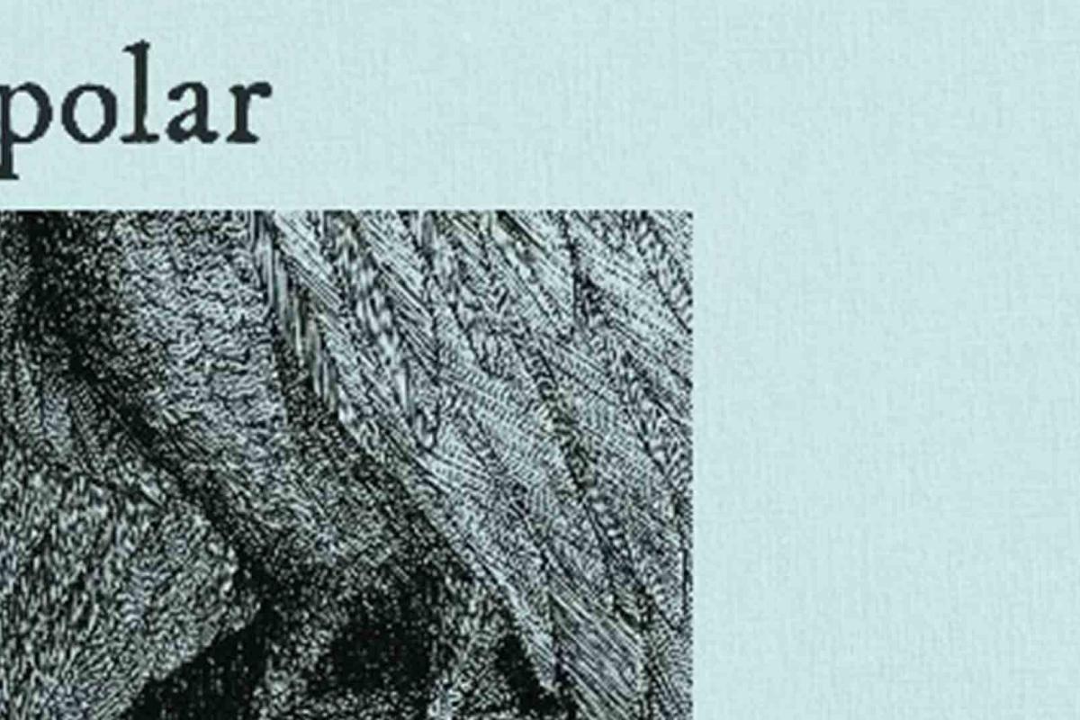 Polar estrena single “Desaparecer”