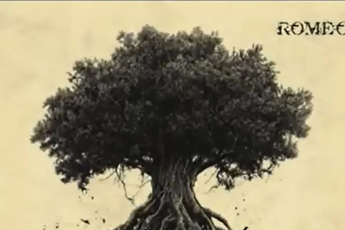 “Origen”, próximo disco de Romeo