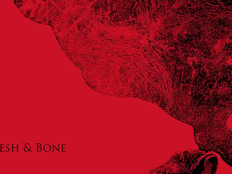 “Flesh and Bone”, próximo disco de Aneuma
