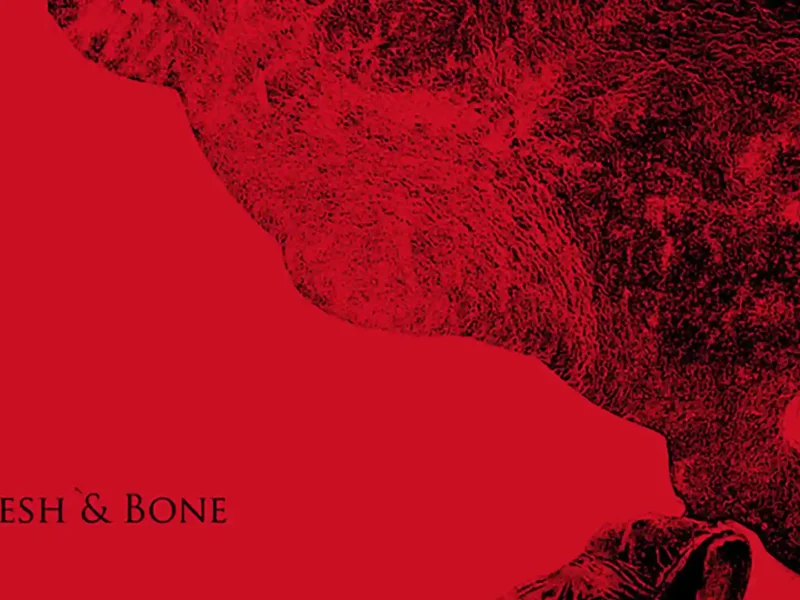 Ya a la venta el nuevo disco de Aneuma “Flesh and Bone”