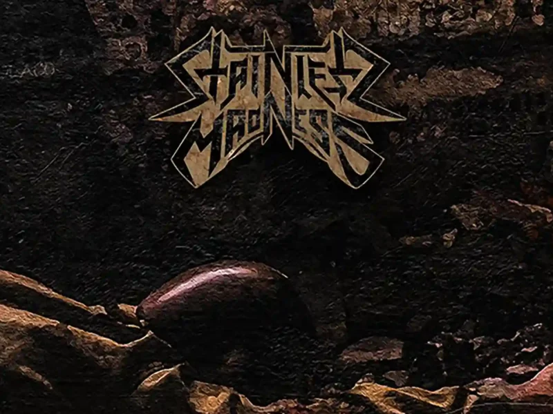 Stainless Madness lanza single “Seeds Of Pain”