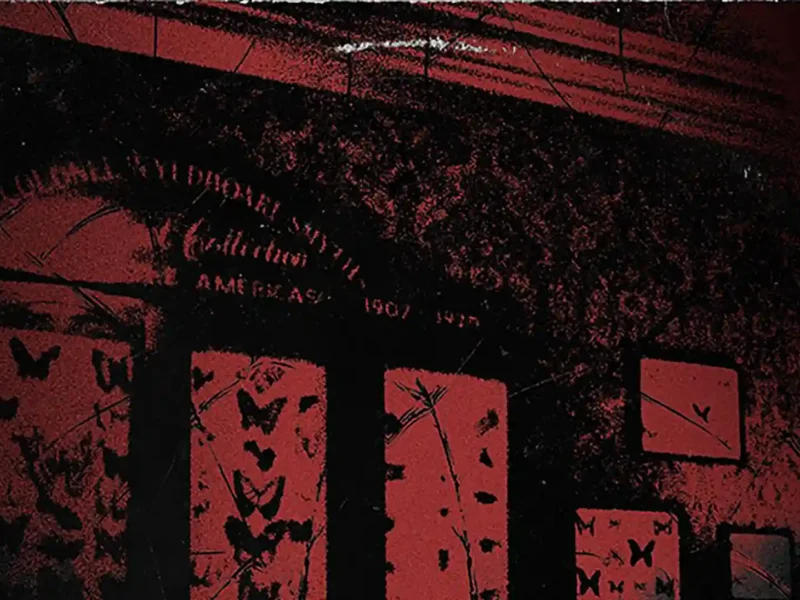 The Backening estrena videoclip “Nothing To Say”