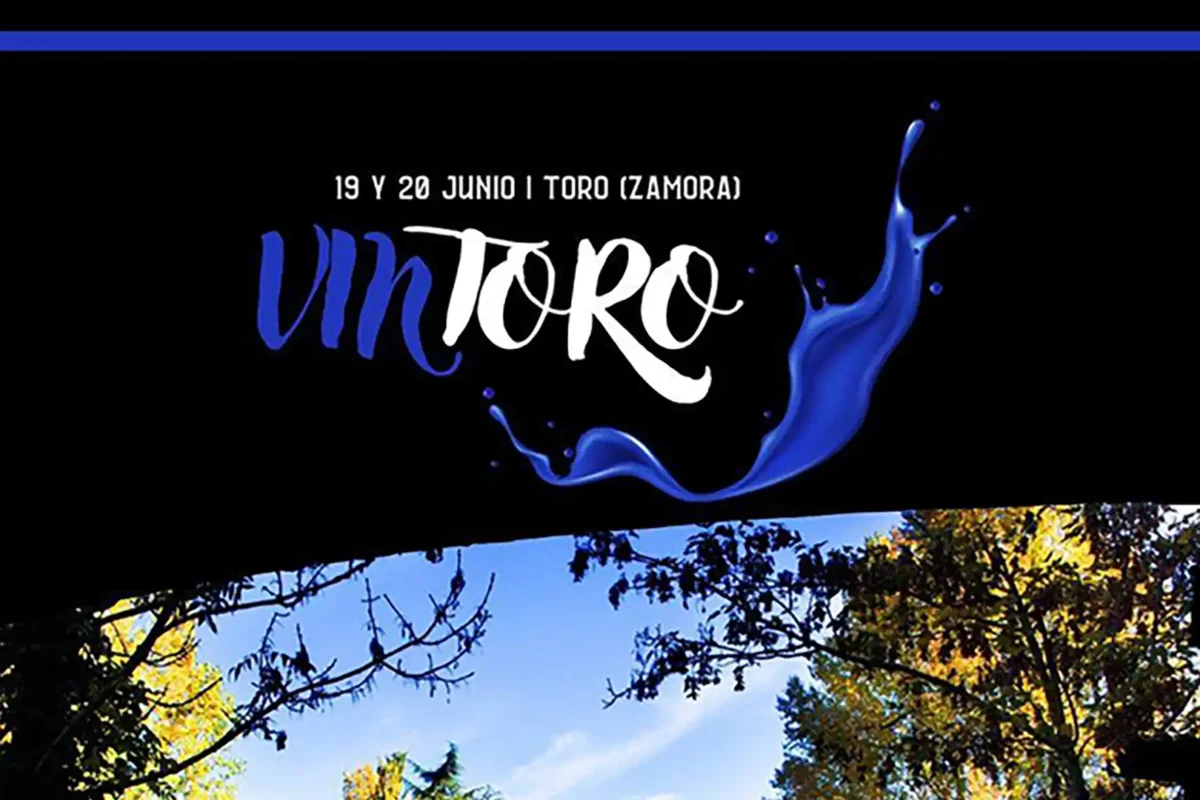 Nuevas confirmaciones del festival Vintoro 2026