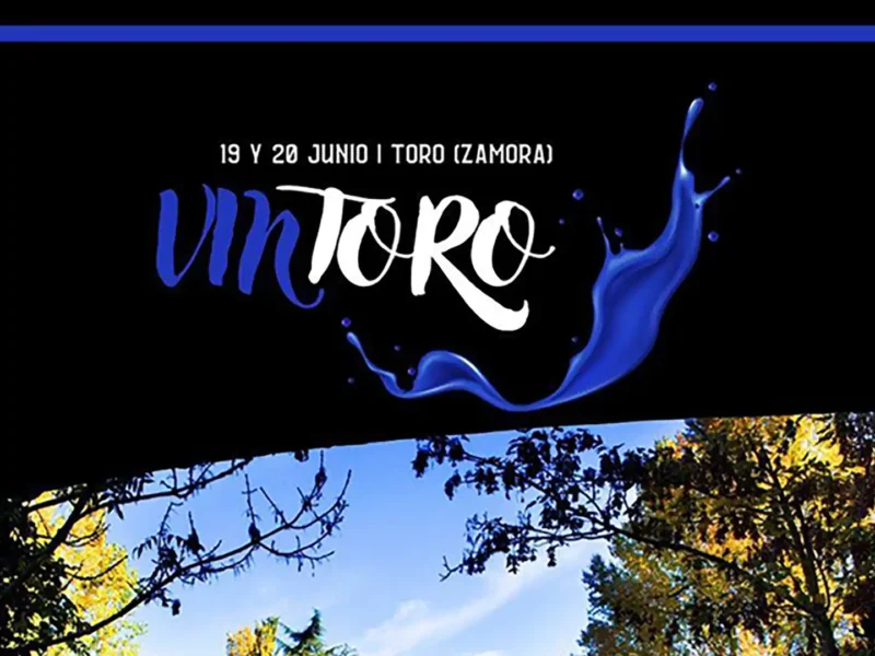 Nuevas confirmaciones del festival Vintoro 2026