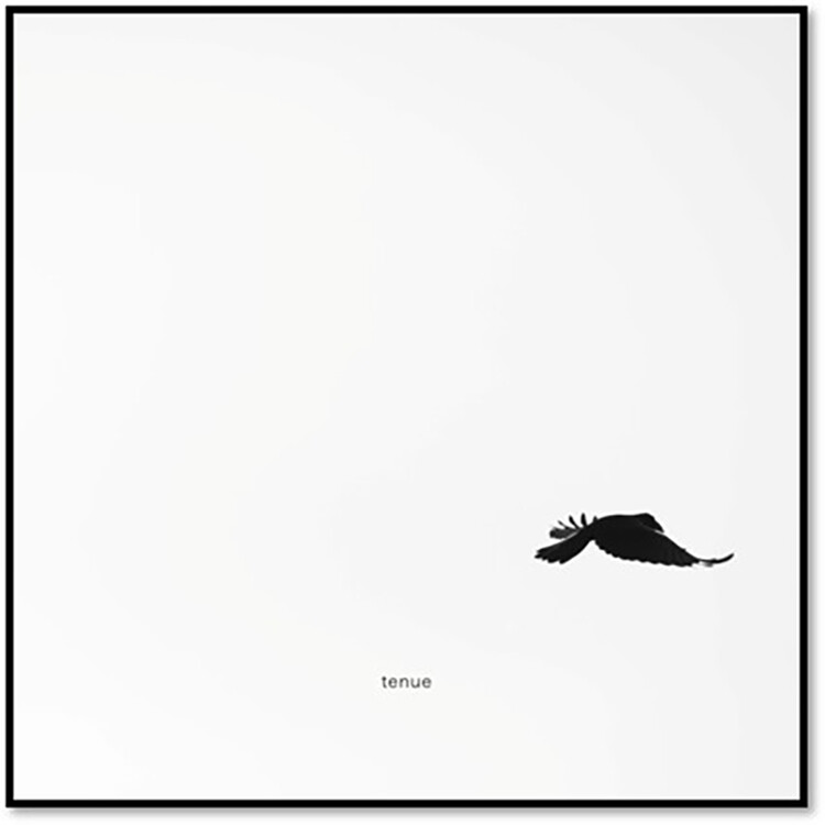 POLAR Portada del nuevo single de POLAR "Tenue"