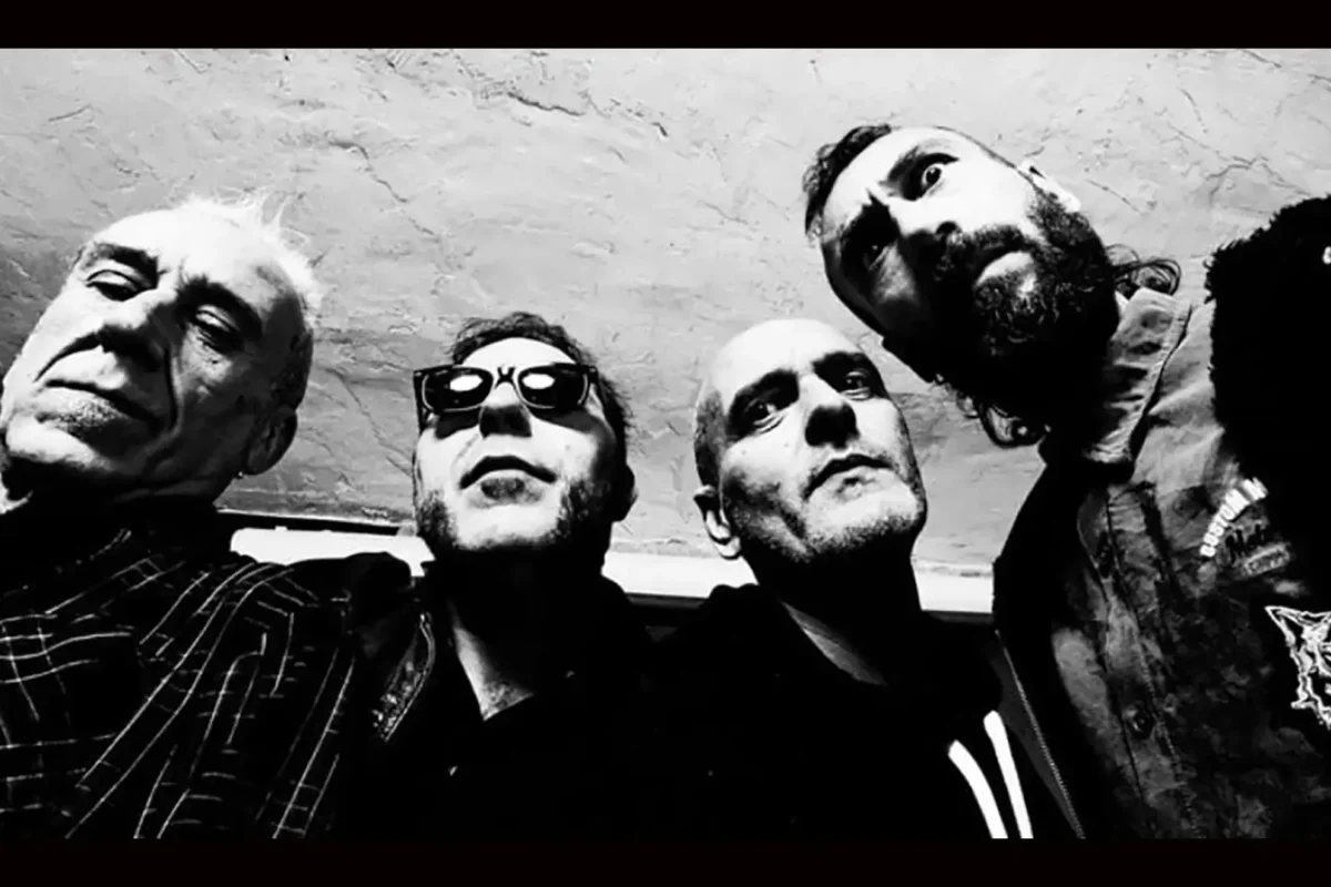 Avancarga, nuevo proyecto de Vikingo