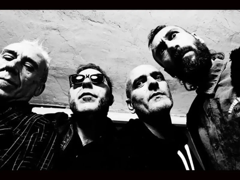 Avancarga, nuevo proyecto de Vikingo