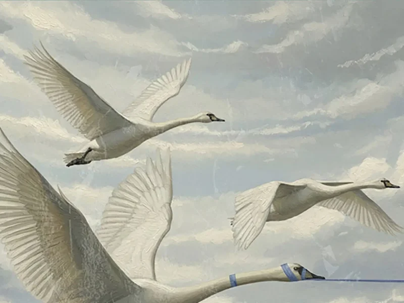 Preventa del próximo disco de El Altar del Holocausto