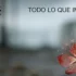 Close‑up of a red flower on the right with a blurred background and the text 'TODO LO QUE IMPORTA' at the top.