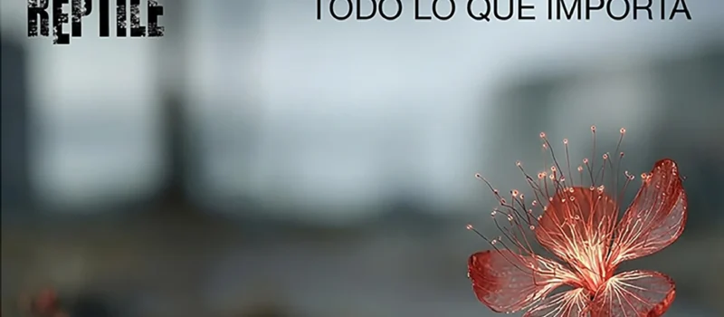Rēptile estrena videoclip “Todo Lo Que Importa”