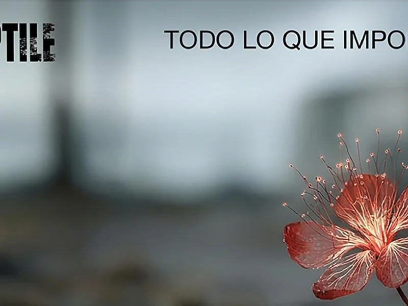 Rēptile estrena videoclip “Todo Lo Que Importa”
